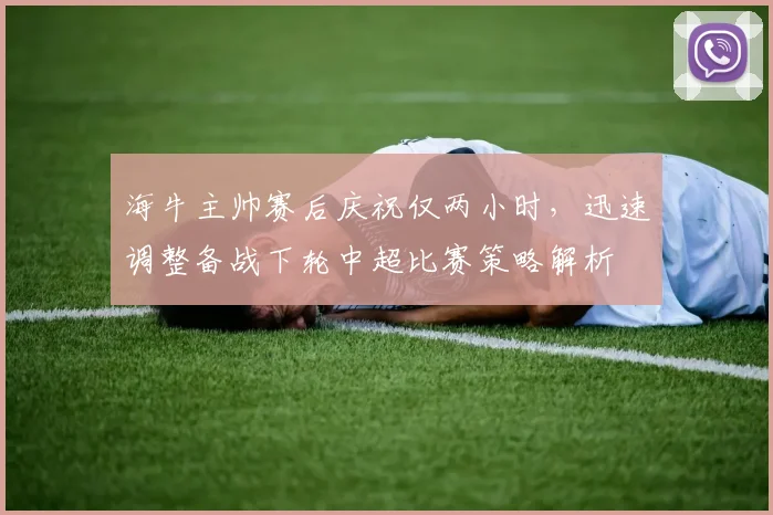 海牛主帅赛后庆祝仅两小时,迅速调整备战下轮中超比赛策略解析