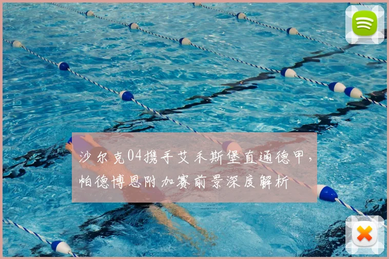 沙尔克04携手艾禾斯堡直通德甲,帕德博恩附加赛前景深度解析